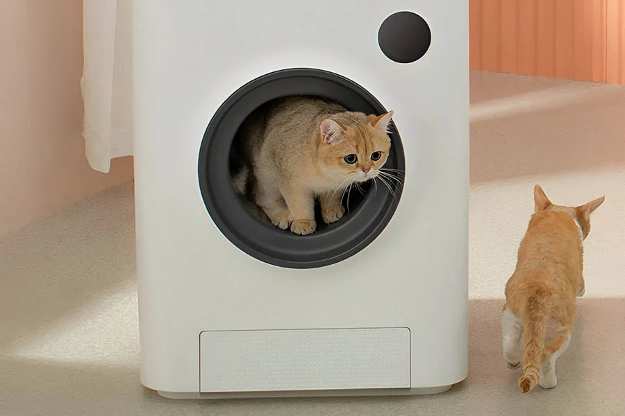 best automatic litterboxes